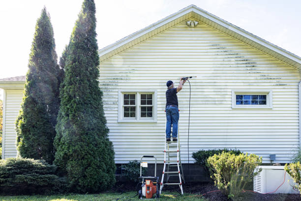 Roof Power Washing Services in Delaware, OH